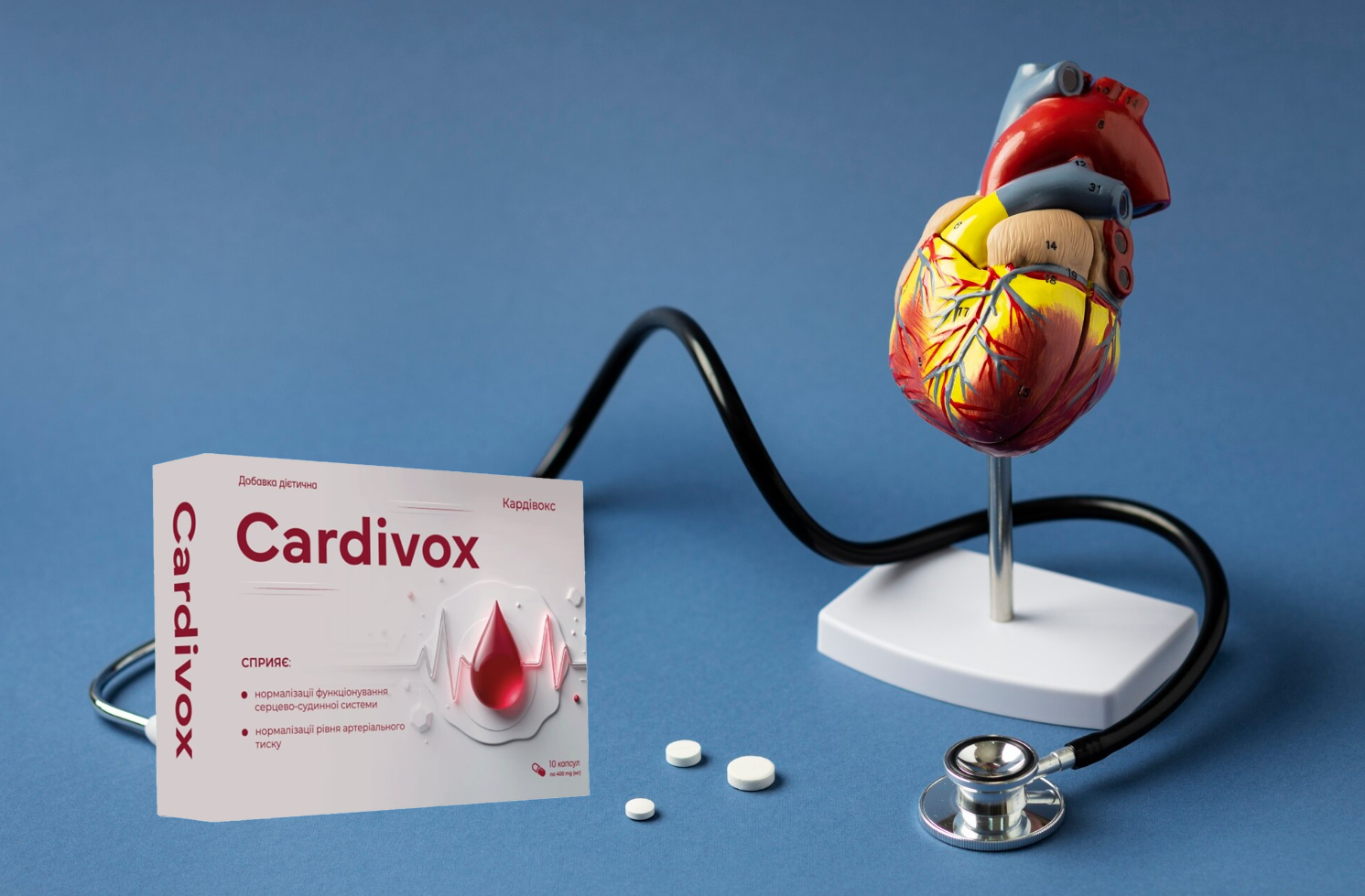 Cardivox 2