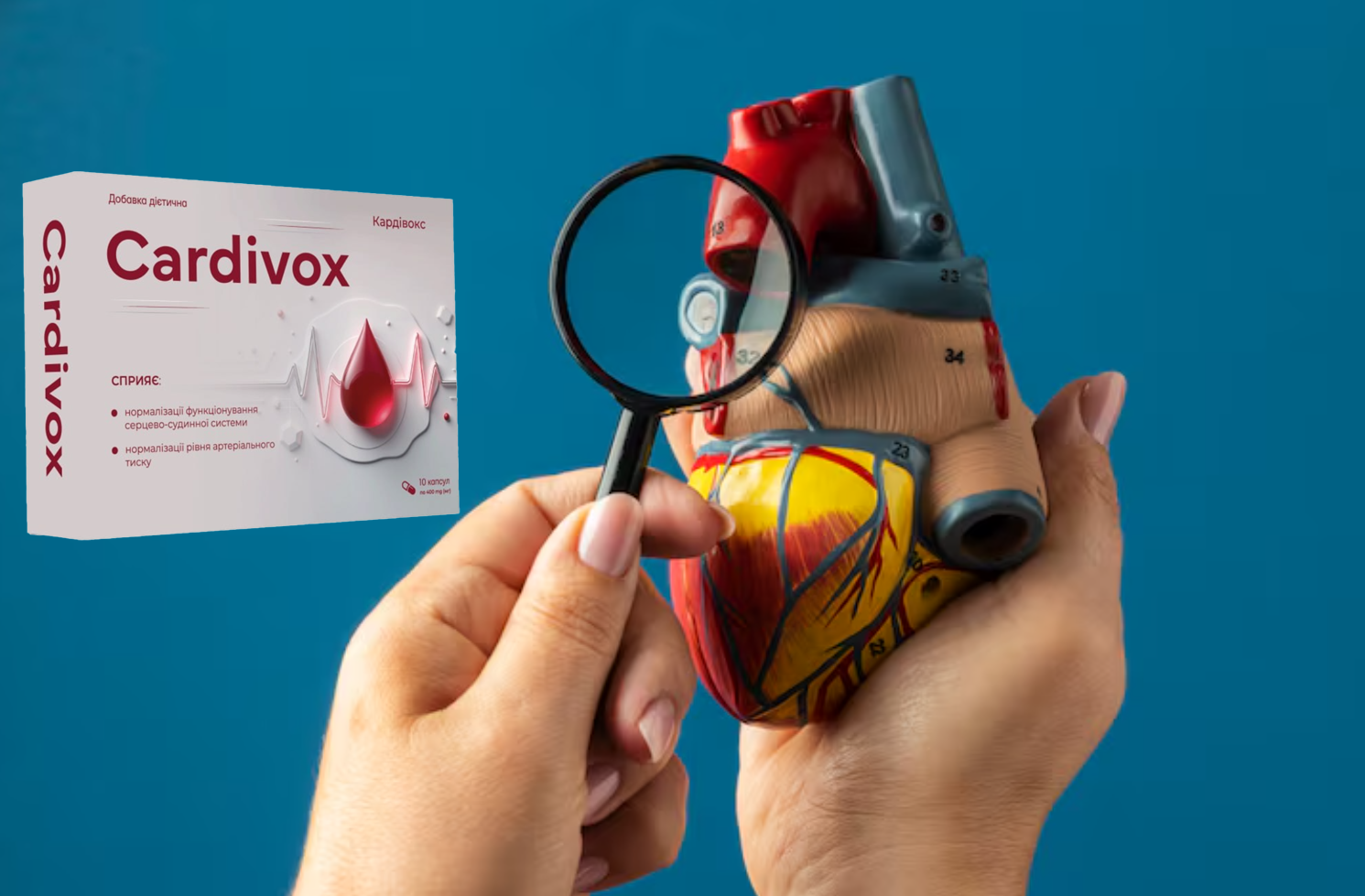 Cardivox 5